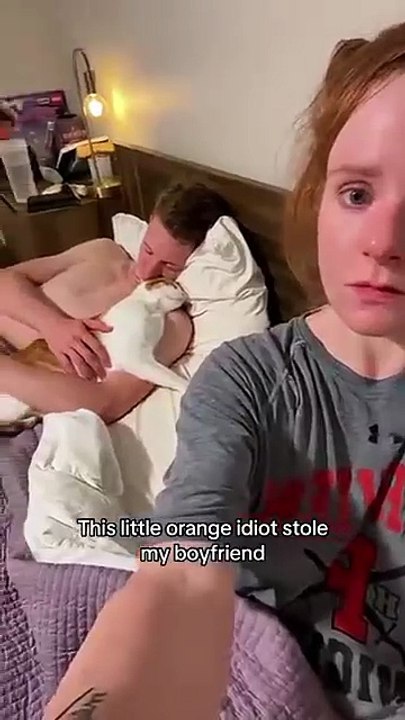 EL_GATO_SE_ROBÓ_A_MI_HOMBRE_😢😹_#funny_#family_#cat(360p)