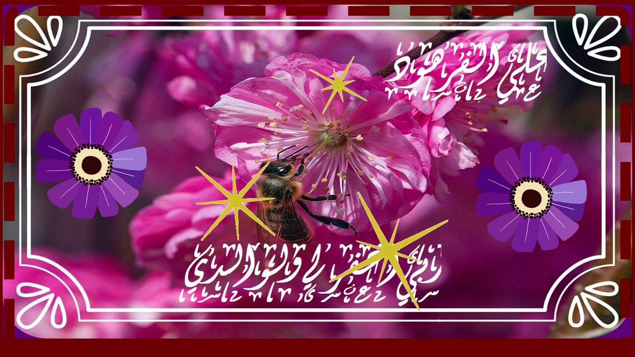 قرآن بصوت جميل يبكي