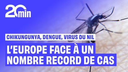 Chikungunya, dengue : L'Europe face à une forte augmentation des contaminations par les moustiques