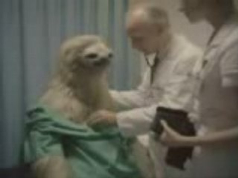 Alfa 147 - Spot Settembre 2006 - Bradipo New