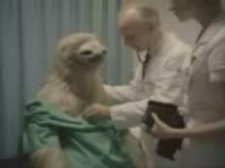 Alfa 147 - Spot Settembre 2006 - Bradipo New