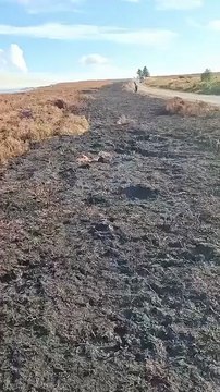 Langdale Moor: Fire update on Tuesday evening - ALL CREDIT: NYMMO - North York Moors Moorland Organisation