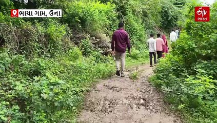 ગીર સોમનાથ: ક્યારે બનશે પુલ? 5 વર્ષથી જીવના જોખમે નદી પાર કરતા ભાચાના ગ્રામજનો