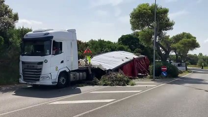 Castiglioncello, albero si abbatte su un camion all'ingresso della Variante