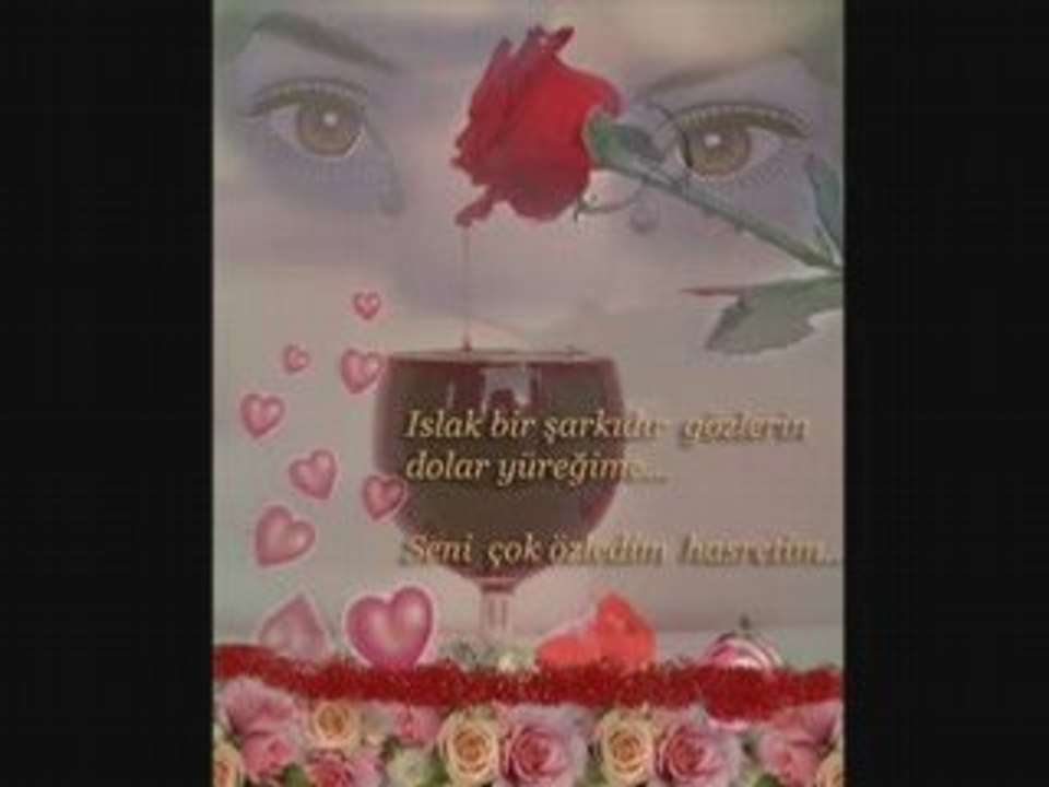 Hayri Sahin "gidiyorum buralardan_