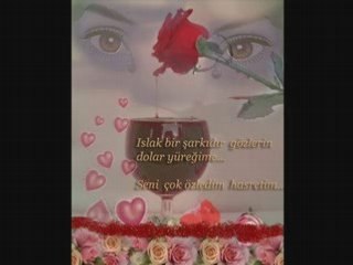 Hayri Sahin "gidiyorum buralardan_