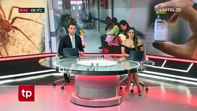 Niña de 4 años quedó en terapia intensiva tras ser picada por una Araña de Rincón