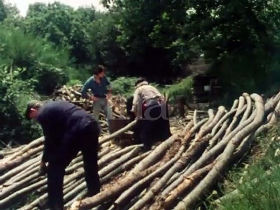 La Maison d'Albert - 1976