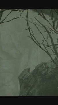 Moment culte du jeu vidéo : le premier colosse dans Shadow of the colossus !