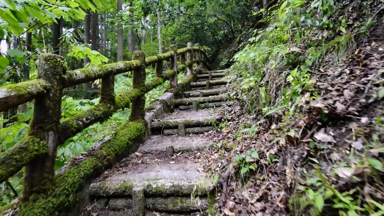 Japan Forest Walk | The Waterfall Path Through Whispering Forest Streams