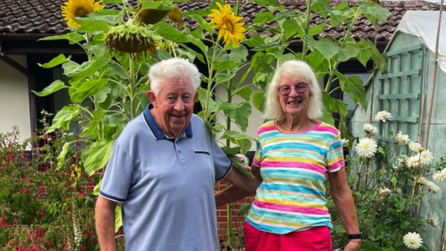Watch highlights from the Liphook Sunflower Competition, including prize winners, colourful displays, and community celebrations