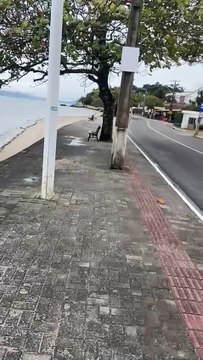 Buraco aparece “do nada” e engole corredor em calçadão turístico de Florianópolis; veja vídeo