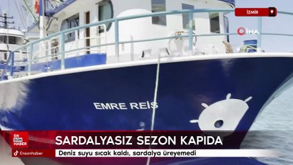 İzmir'de deniz kirliliği balığı vurdu