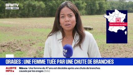 Orages: Une femme tuée par la chute d'une branche d'arbre