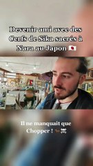 Devenir ami avec des cerfs de Sika sacrés au Japon 🇯🇵 (extrait vlog 2020)