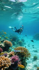 Wisata Pantai di malang