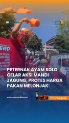 Peternak Ayam Solo Gelar Aksi Mandi Jagung, Protes Harga Pakan Melonjak