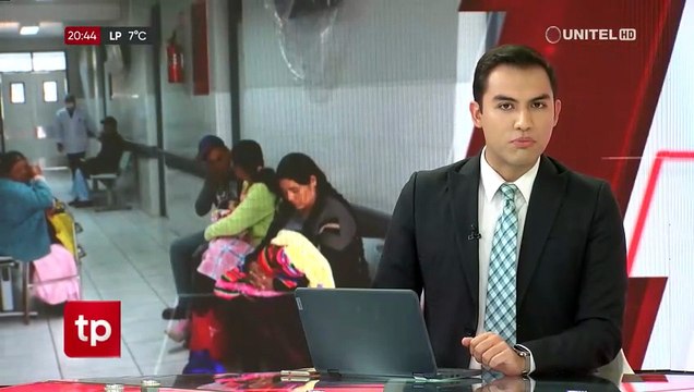 La araña de rincón, están son sus características y los síntomas que provocan su picadura