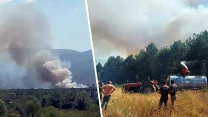 Sakarya’nın Akyazı ilçesinde ormanlık alanda yangın