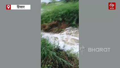 हिसार जिले में भारी बारिश, हांसी के कई इलाकों में बाढ़ जैसे हालात