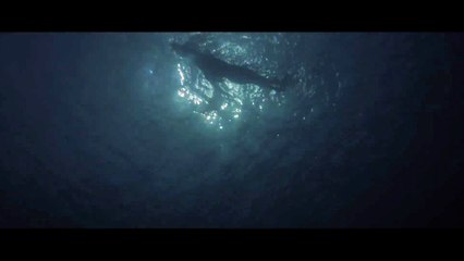 Lo Squalo - Teaser Trailer Ufficiale 50° anniversario