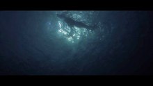 Lo Squalo - Teaser Trailer Ufficiale 50° anniversario