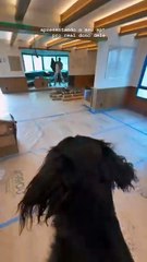 Vídeo: João Guilherme mostra detalhes da reforma do novo apartamento