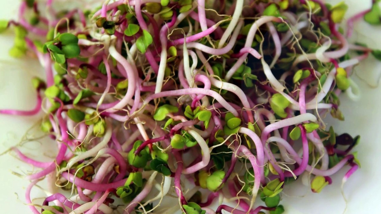 7 Benefits of Consuming Bean Sprouts for Health, Effective in Lowering Cholesterol