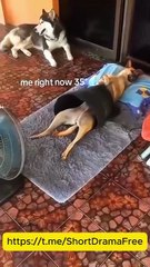 Single Mom, Billionaire's Bride