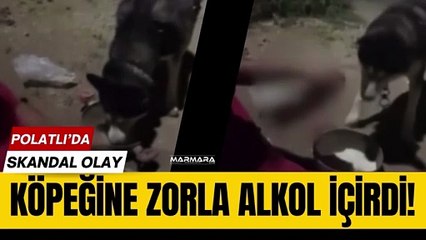 Köpeğine Zorla Alkol İçirdi!