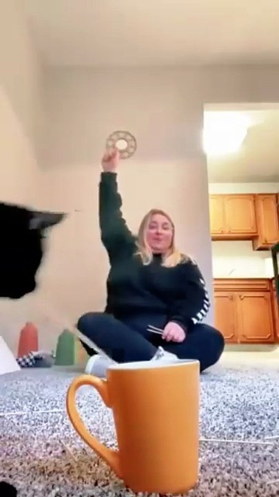 My cat has a super sense of lens