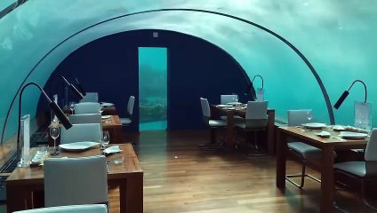 Unique Dining Experience Beneath the Sea