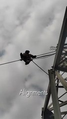 Would You Do This for $200,000Year The Job 99.9%