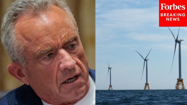 Health Secretary RFK Jr.: Wind Farms Are 'Wiping Out The Whale Population' And Hurting Fisheries