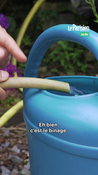 Binage : comment économiser l'eau d'arrosage ?