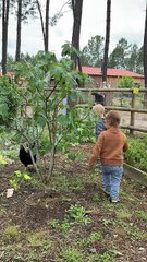 Parents et Center Parcs vidéo reportage ( enfants entre 18 et 36 mois)