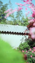 By Touching A Magic Plant, A Poor Girl Gains The Midas Touch For Revenge On Her Greedy Family