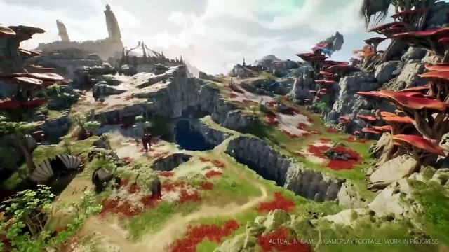 Ce jeu est considéré comme le plus grand espoir des MMO et de nouveaux détails sur sa monétisation ont été dévoilés