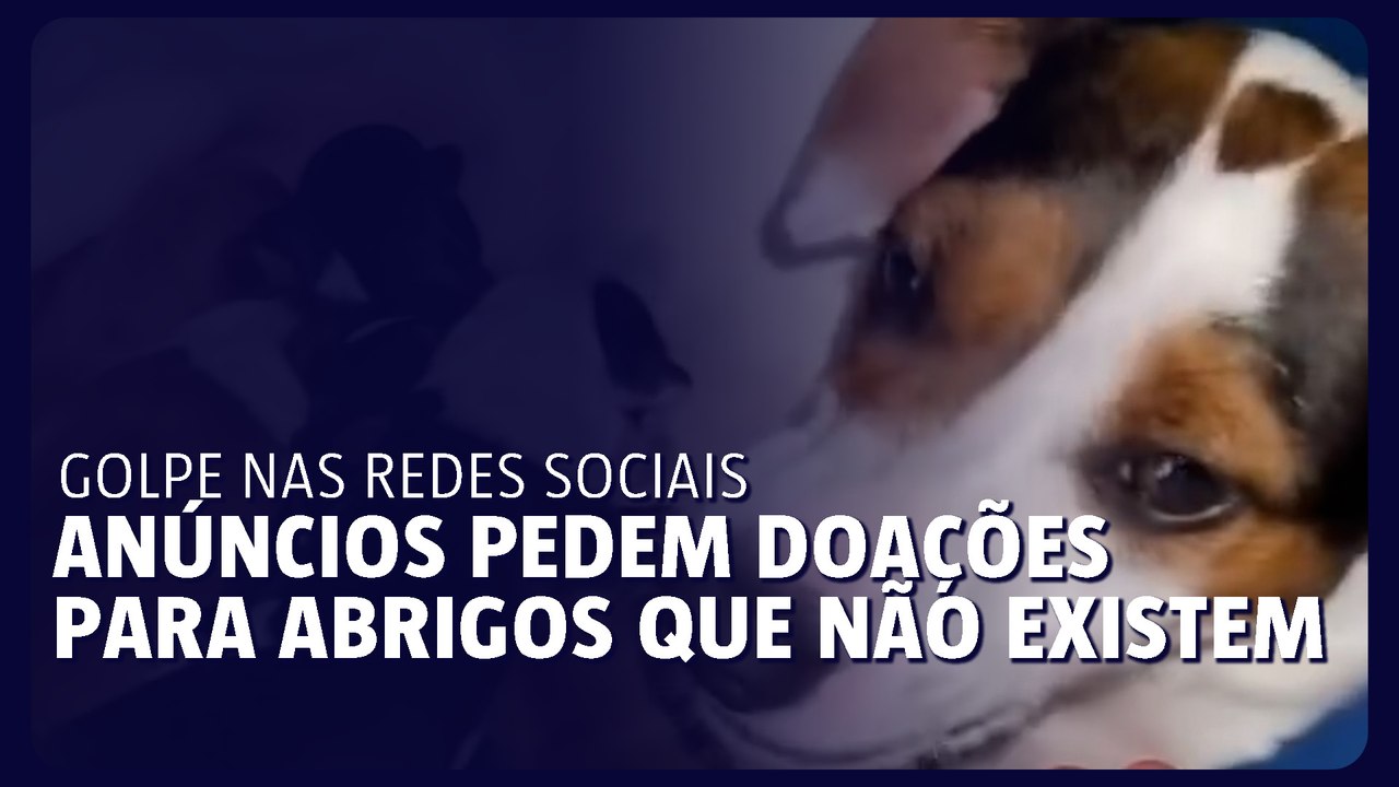 Anúncios nas redes pedem doações para abrigos de animais que não existem