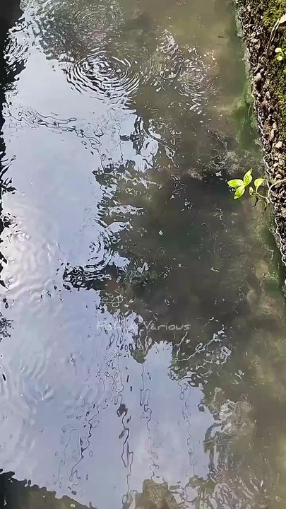 Catching Fish