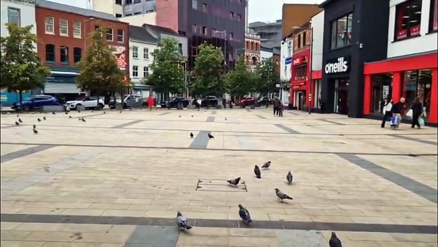 Pigeons at Waterloo Place in Derry