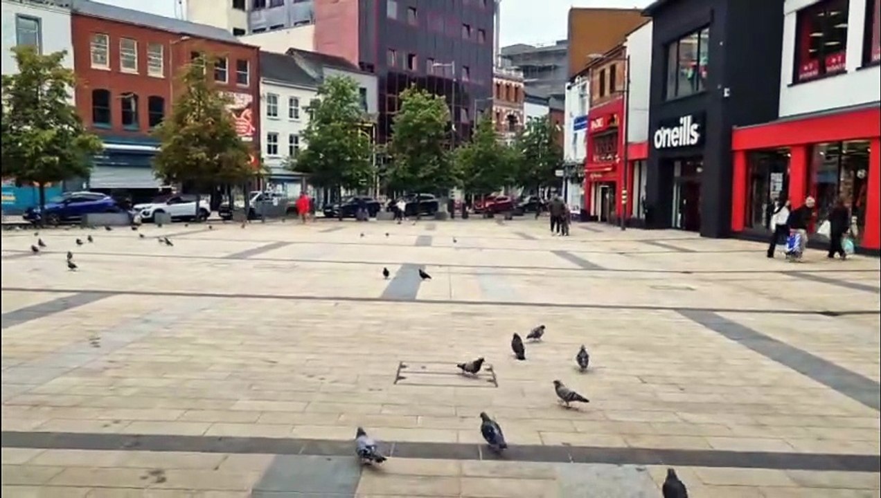Pigeons at Waterloo Place in Derry