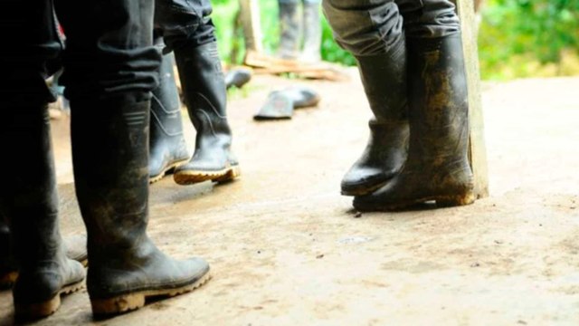 “Hay menores involucrados” en la instrumentalización de grupos armados contra la fuerza pública: Néstor Osuna