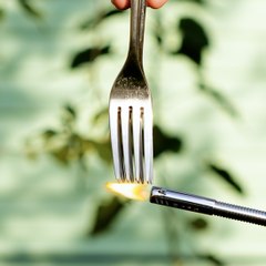 Garden Tips That Keep Both You and Your Plants Happy 💚