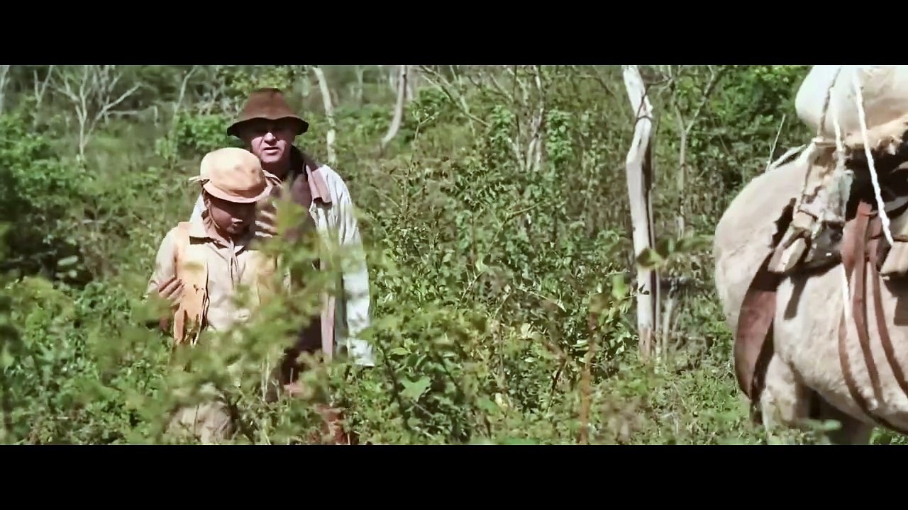 Luiz Gonzaga - Légua Tirana | Trailer Oficial [ZFSeZGy6YFY]