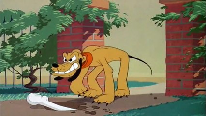 Cartoons Pluto, Mickey Mouse, Donald Duck. Disney cartoons