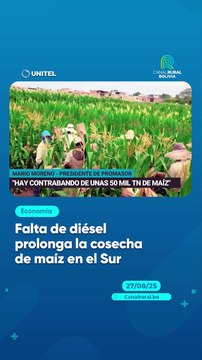 Falta de diésel prolonga la cosecha de maíz en el Sur