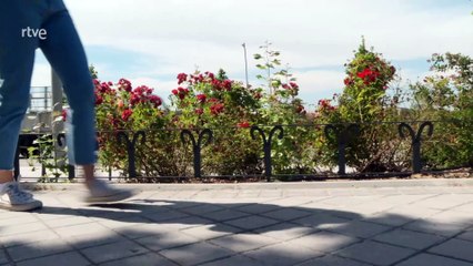 Reduce tu Huella - En movimiento