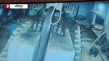 पलक झपकते ही लेपर्ड ने डॉग पर किया हमला, उठा ले गया मुंह में दबोच कर, देखें वीडियो