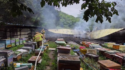 경북 청송 양봉장에서 불...벌통 40여 개 불타 / YTN